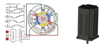 brushless dc motor